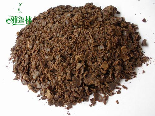 茶麸(fū) 茶麸